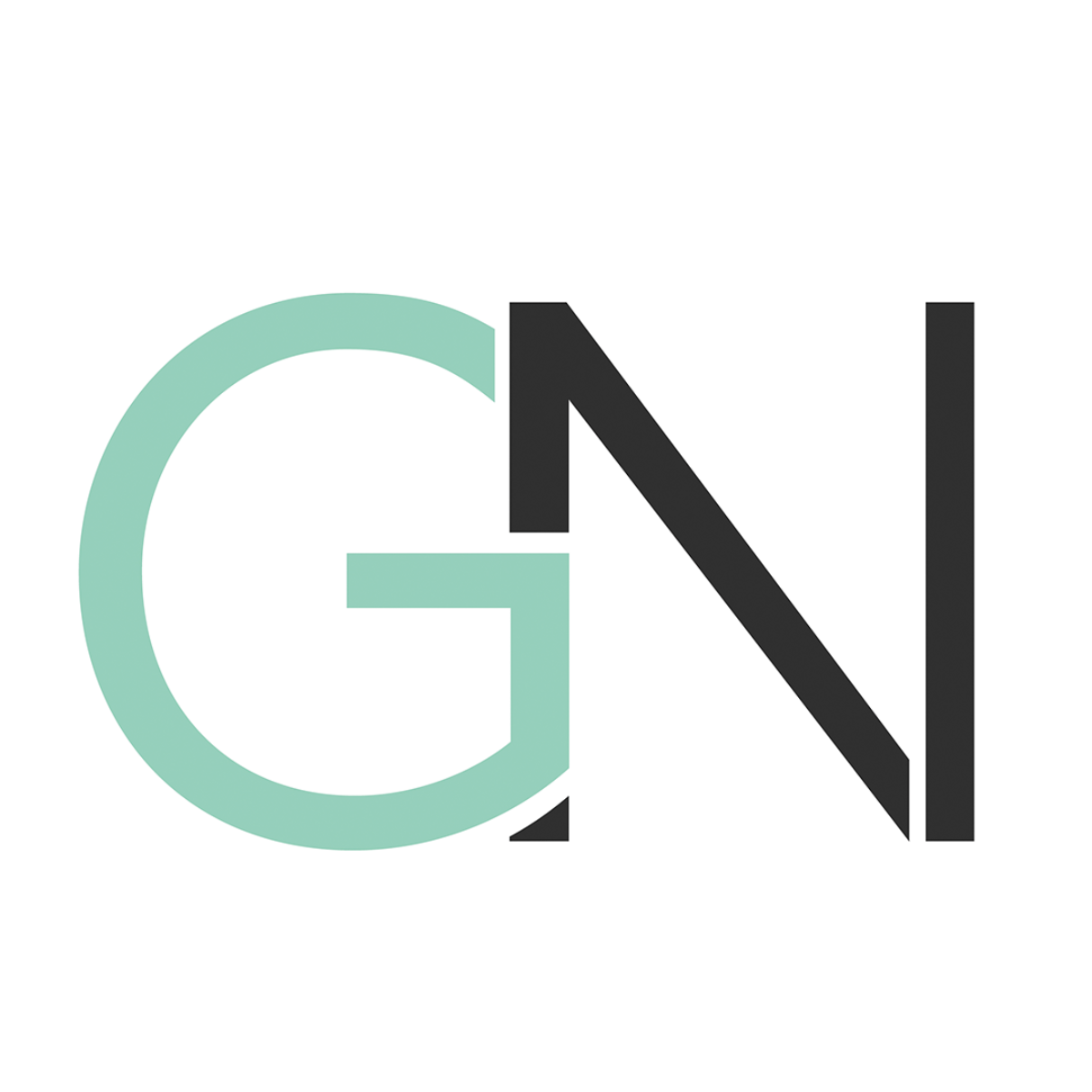 Go Next Consulting GmbH Logo